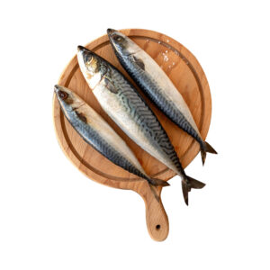 Faskar (King Mackerel / Scomberomorus commerson)