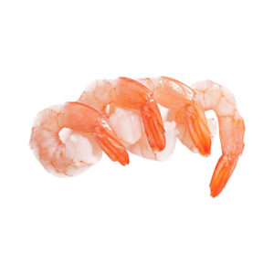 Shrimp
