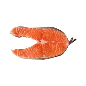 Salmon